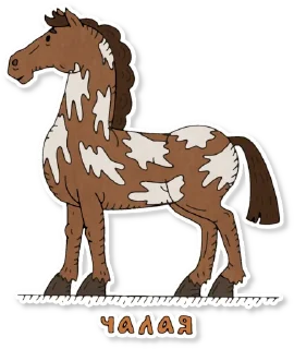 🐎