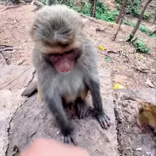 😨