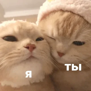 😝