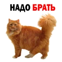 😂