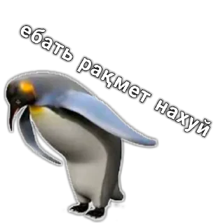 😊
