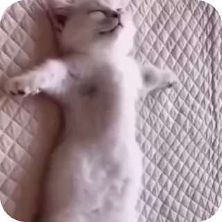 😵