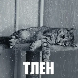 😔