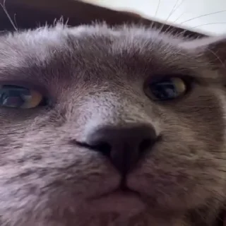 😐
