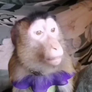 🤩