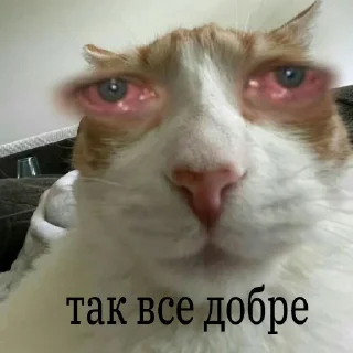 😭