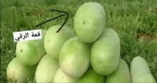 🍉
