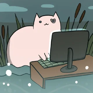 🧑‍💻