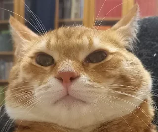 😕