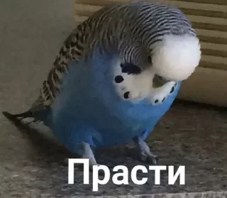 😥