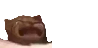 😭
