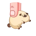 🫣
