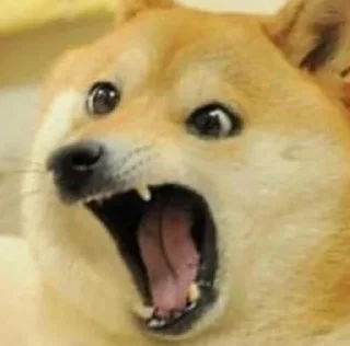 😮