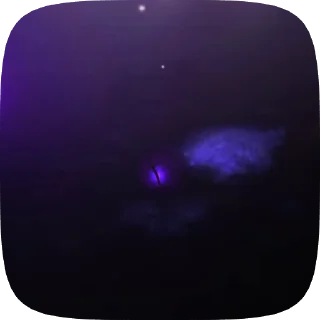 🌟