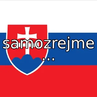 🇸🇰