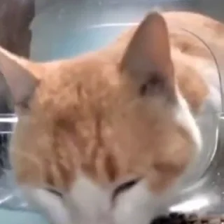 😲