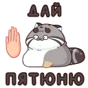🤚