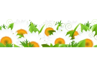 🌸