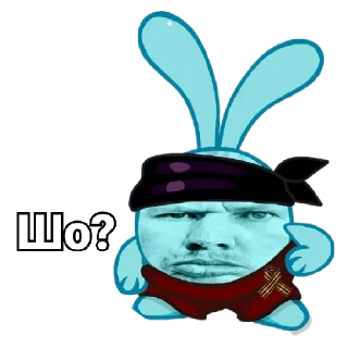 ❓