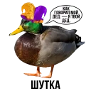 🦆