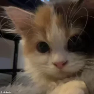 😄