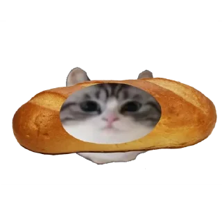 🥖