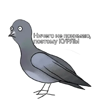 🐦