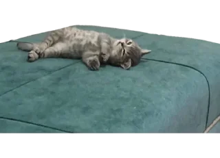 😞