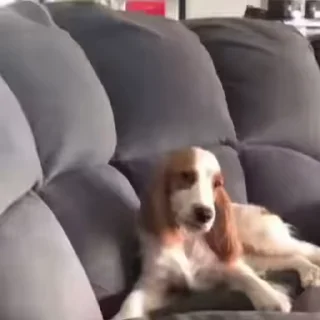 😏