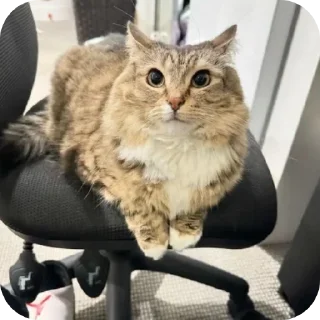 😶