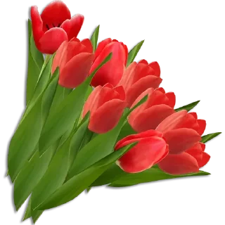 💐