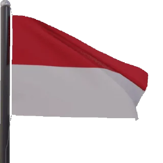 🇮🇩