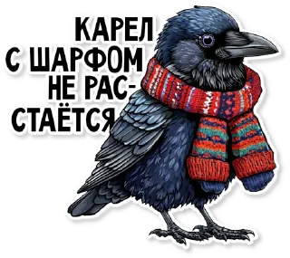 🧣