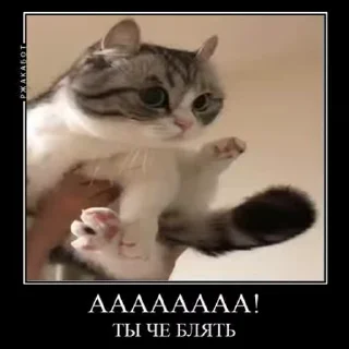 😬