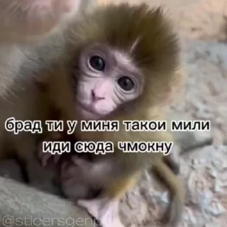 😍