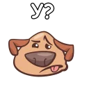 🐶