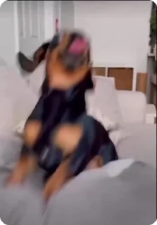 🙌