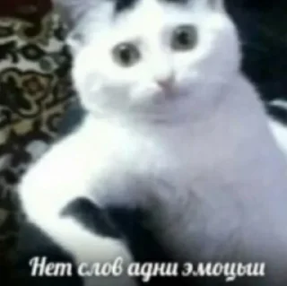 🙃