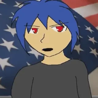 🇺🇸