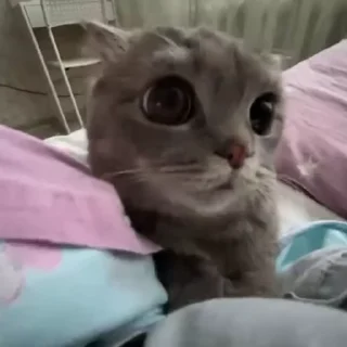 🥰