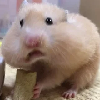 😧