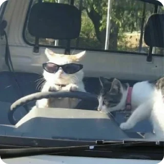 😎