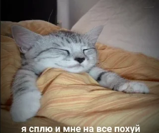 😴