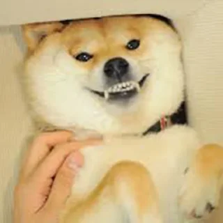 😁