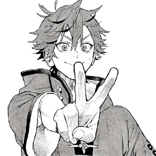✌