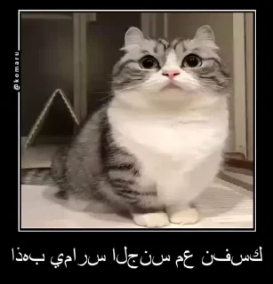 🙈