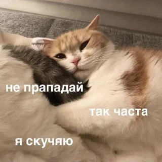 🥺
