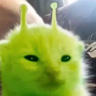 👽