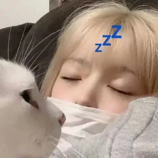 💤