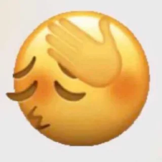 🤦‍♀️